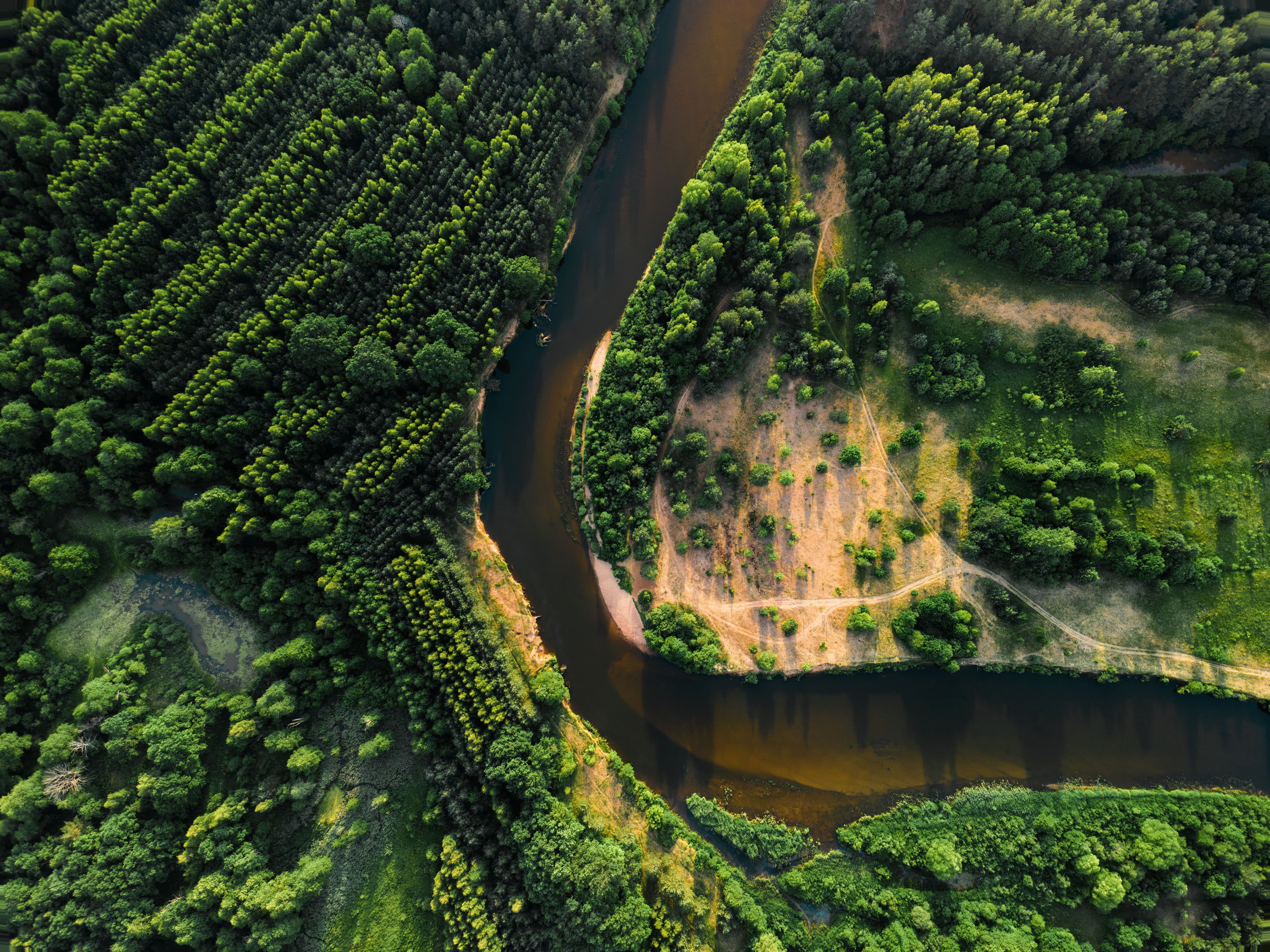 What Is Biodiversity?
