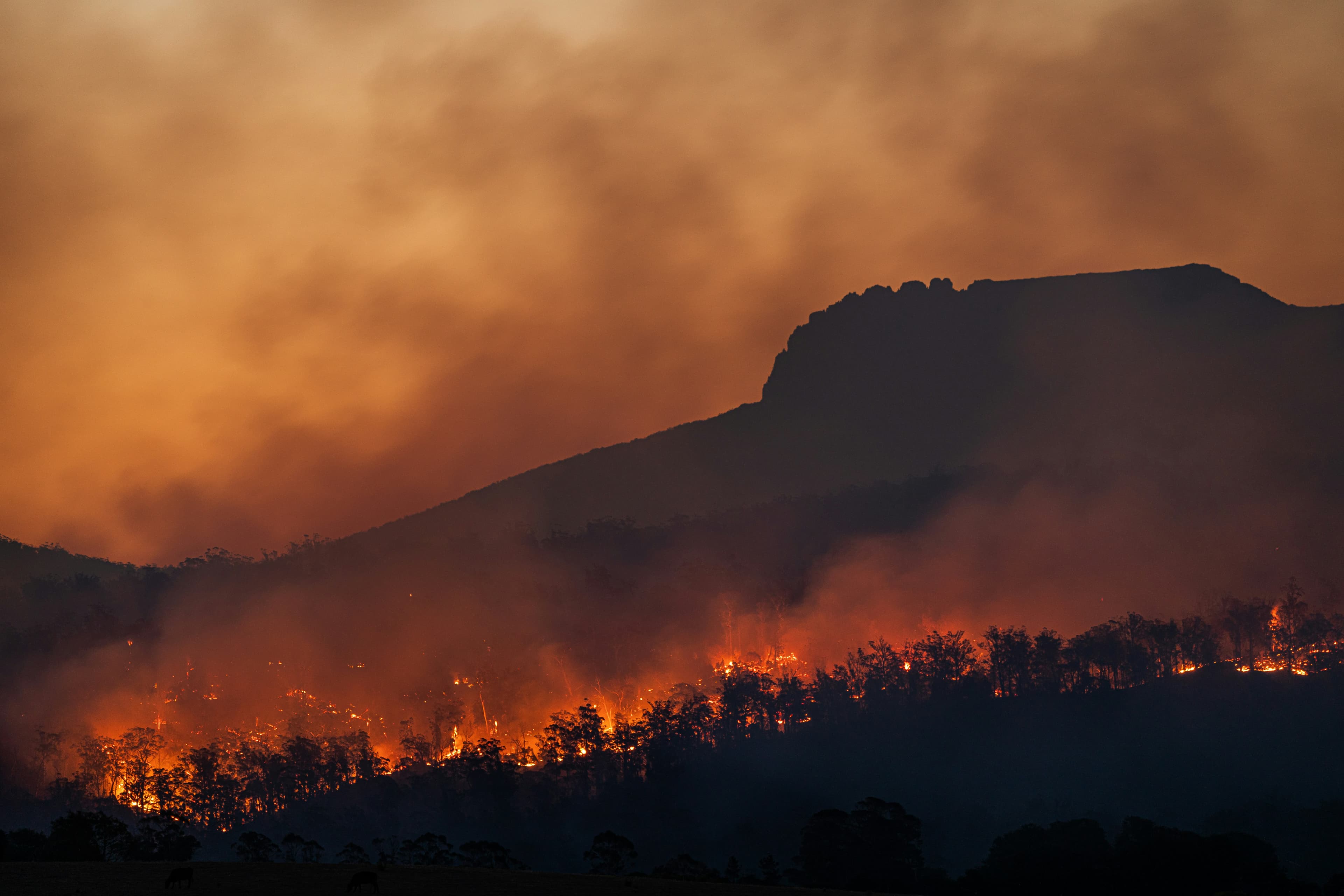 Why Is Earth Getting Hotter?